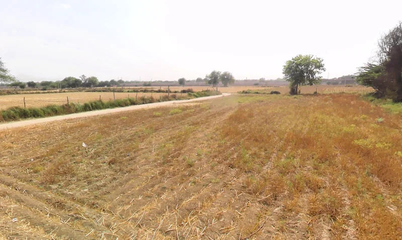 Tajpur Khurd, Delhi, 110071, India preview 3