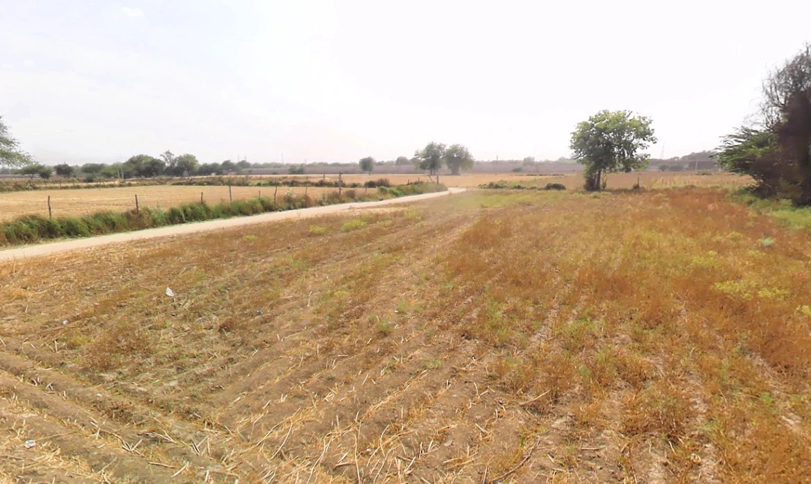 Tajpur Khurd, Delhi, 110071, India