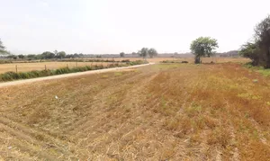 Tajpur Khurd, Delhi, 110071, India preview 3