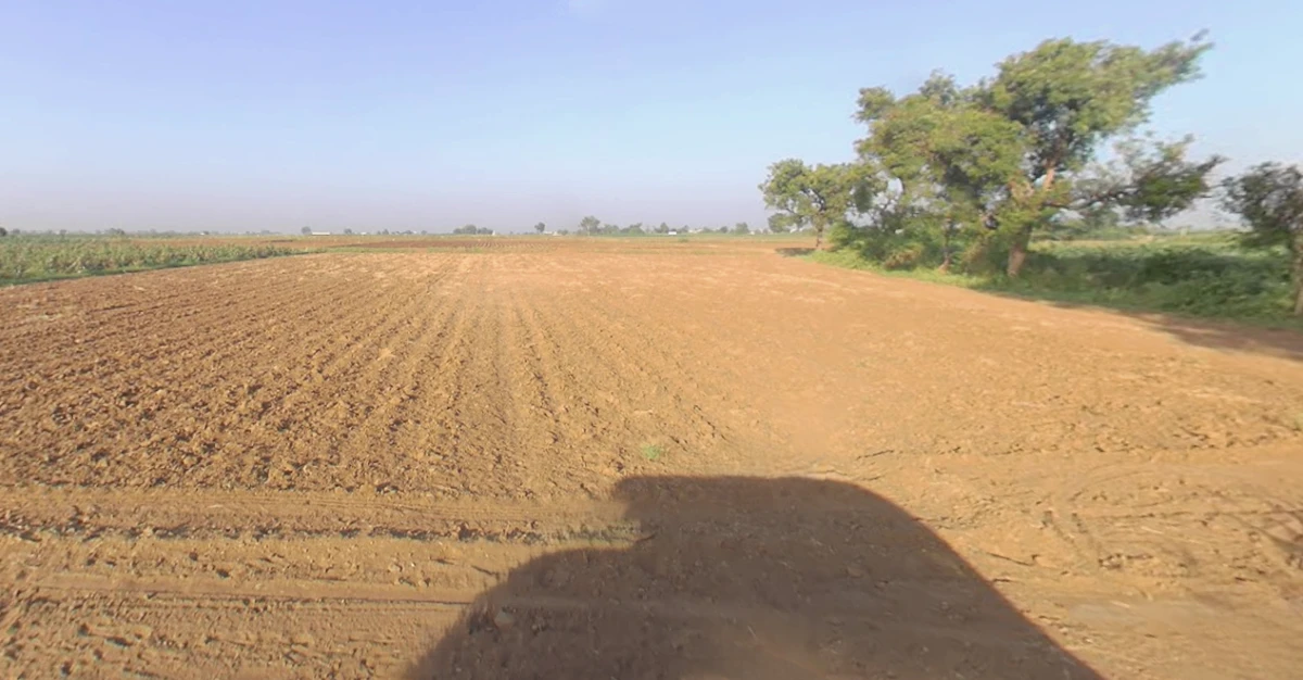 Vanthal, Gujarat 382150, India