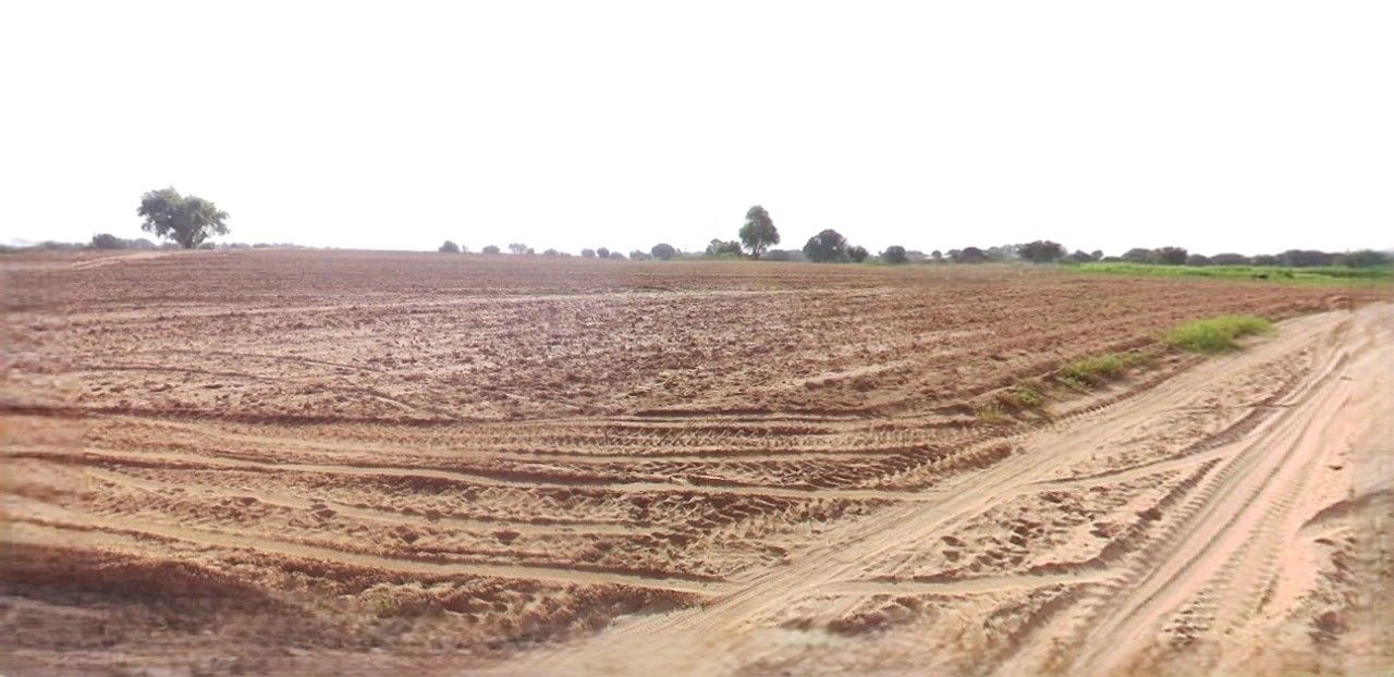 Hansi, Haryana 125033, India