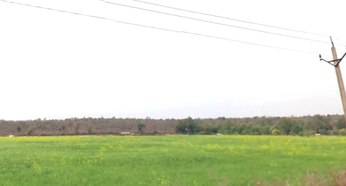 Shahna, Madhya Pradesh 453551, India