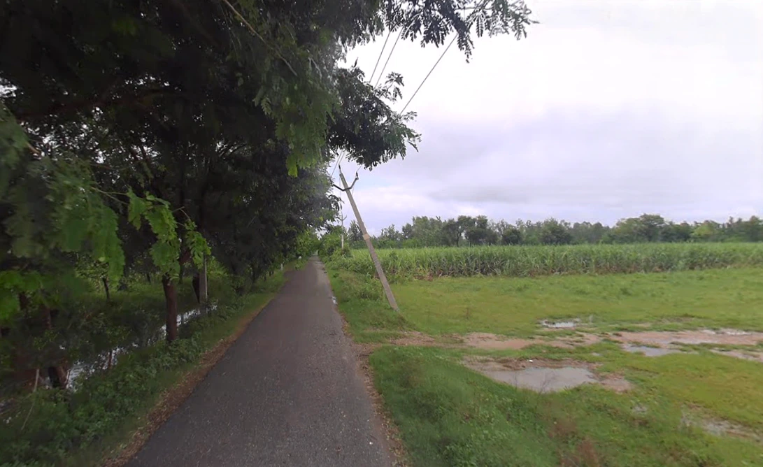 Mohra Ki Milak, Moradabad, Uttar Pradesh 244105, India