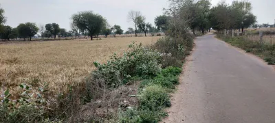 Kherli Veeran, Rajasthan 301021, India preview 4