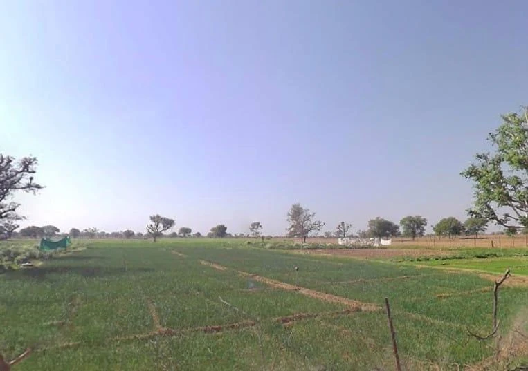 MC8R+RQR, Gajsinghpur, Rajasthan 335024, India