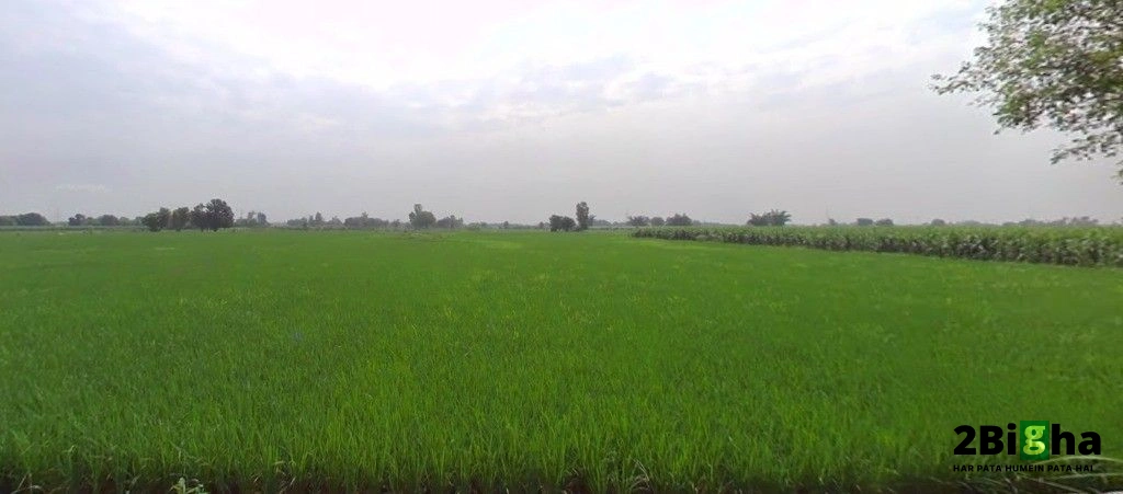 Bhogpur, Punjab 144201, India