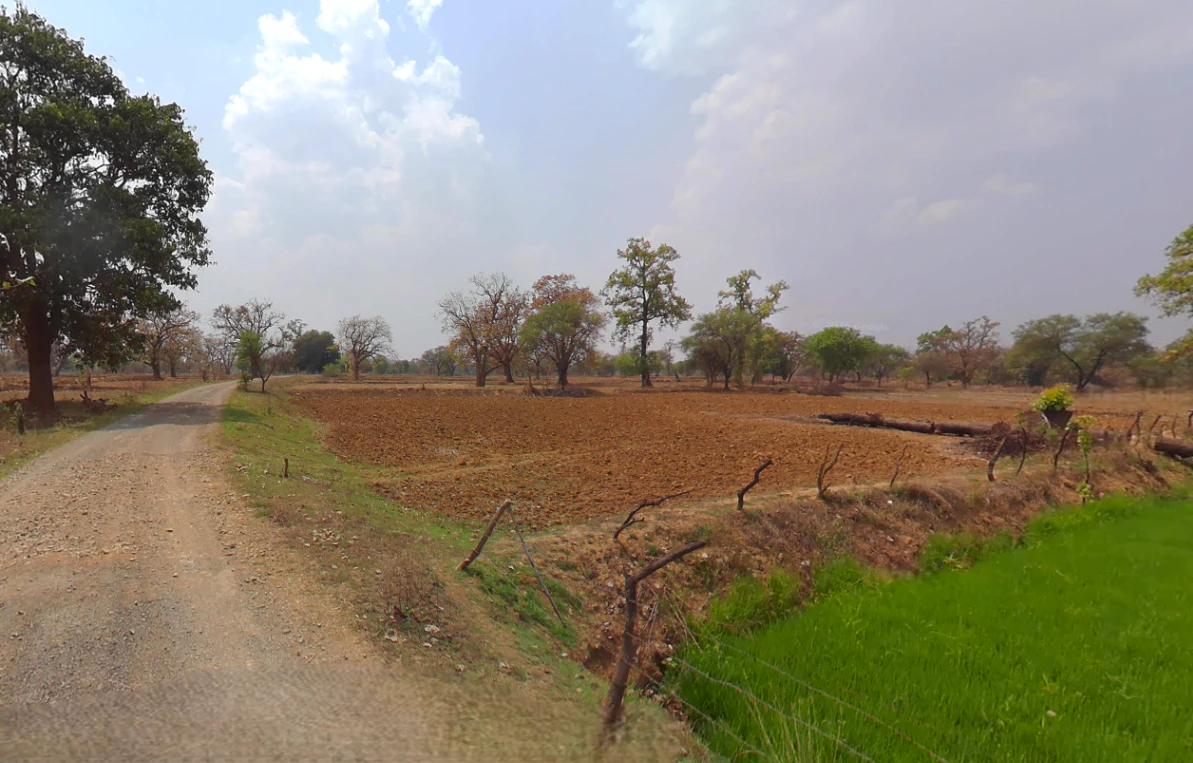 Godhi, Chhattisgarh, India