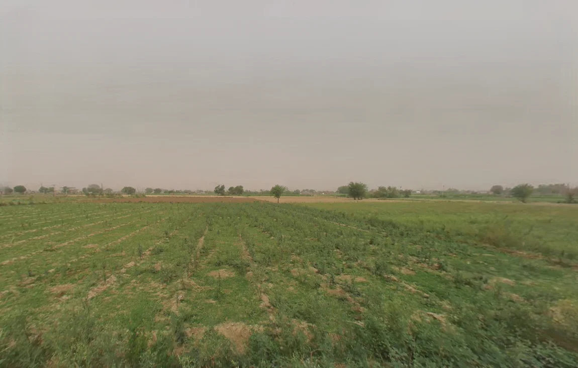 Badli, Haryana 124105, India preview 3