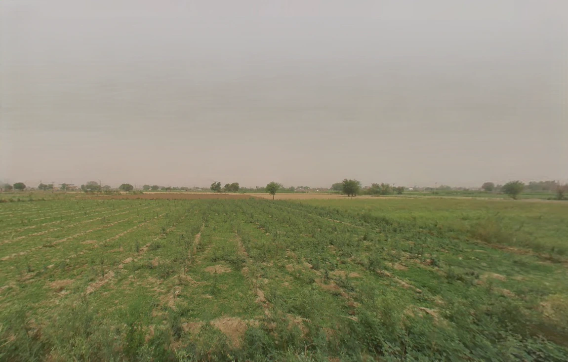 Badli, Haryana 124105, India