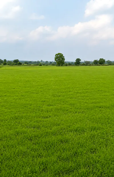 Thakurdwara, Moradabad, Uttar Pradesh 244601, India preview 3