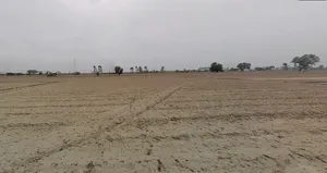 M3M City of Dreams, Sector 36, 37, TDI city, Panipat, Haryana 132140, India preview 2
