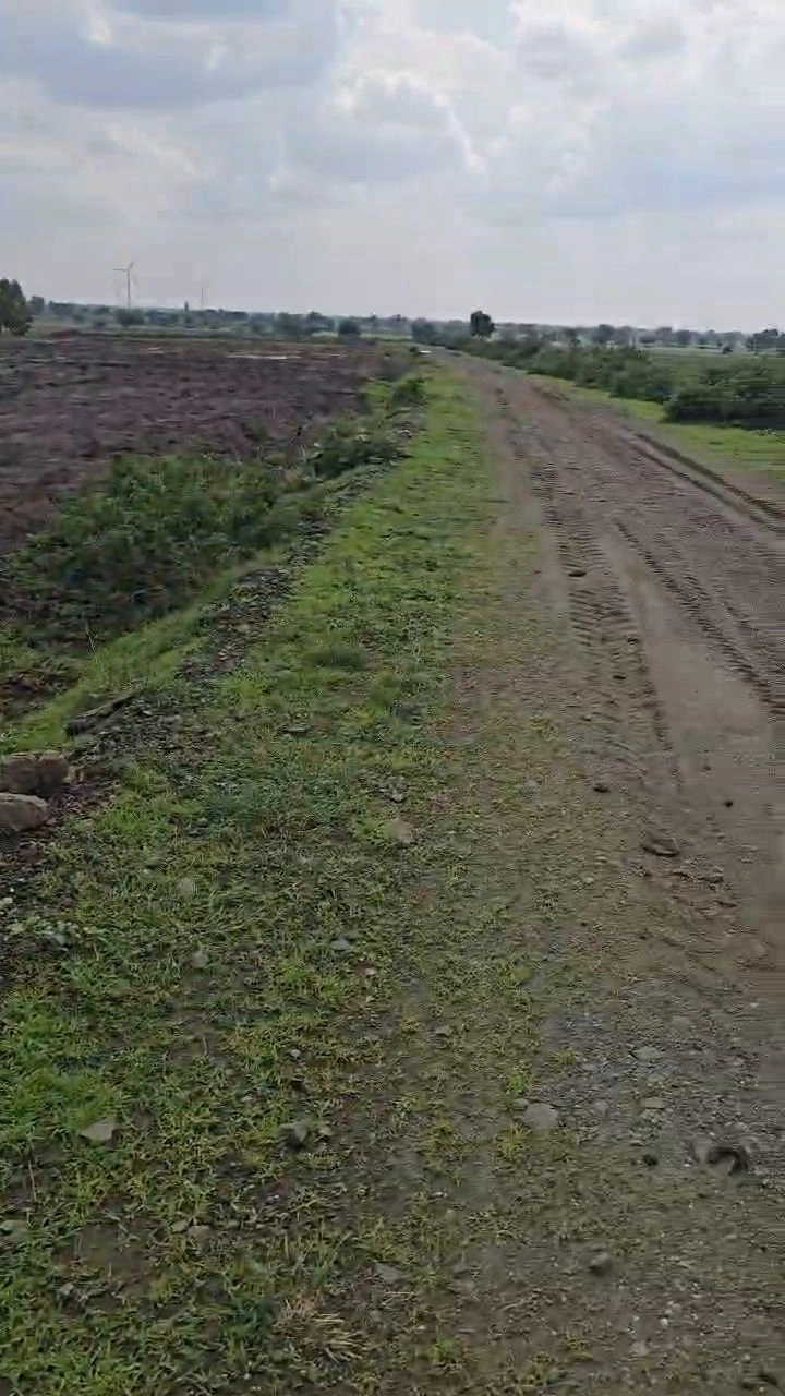 9R5Q+WH8, Lohari, Haryana 132105, India