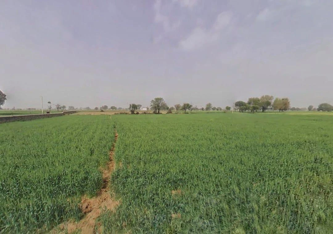 Kairwara, Rajasthan 301406, India
