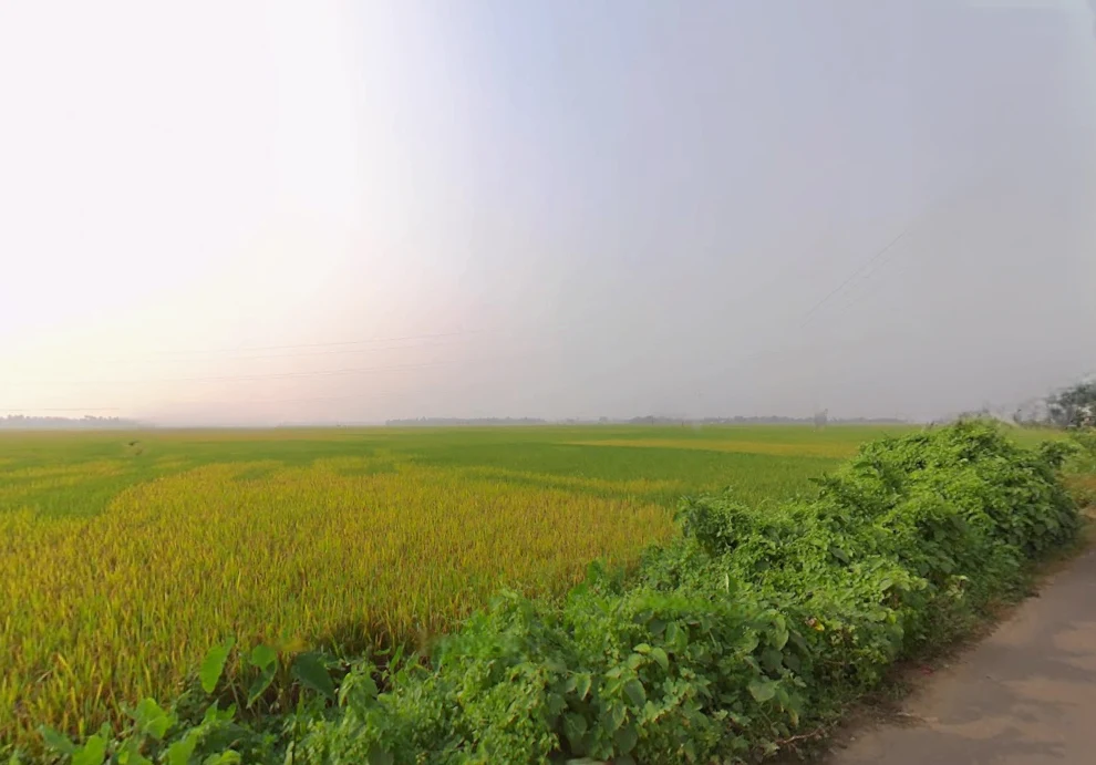 Memari, West Bengal, India