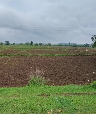 Rairu, Madhya Pradesh 474005, India