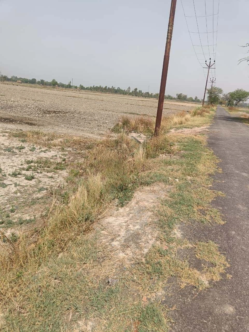 Aou, Rajasthan, India