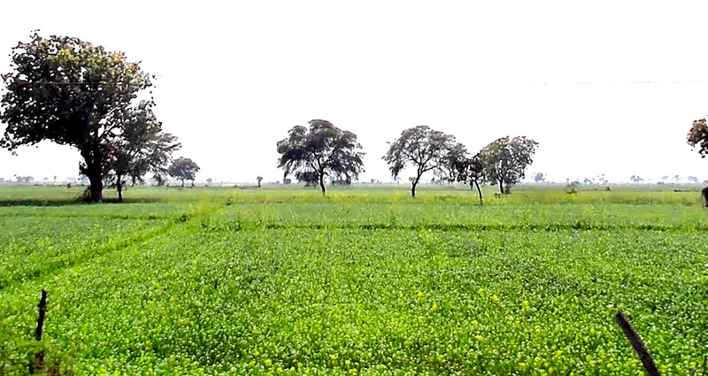 Gora, Madhya Pradesh 475685, India preview 2