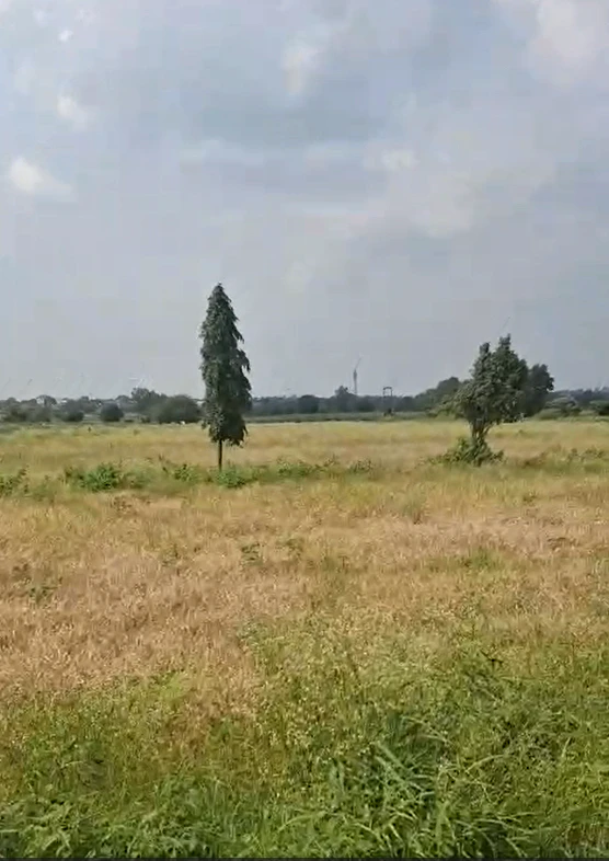 72J7+R28, Ratlam, Kaneri, Madhya Pradesh 457001, India