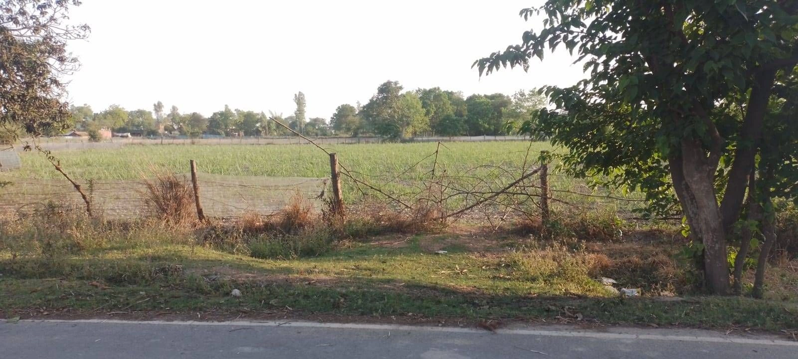 89QG+4F2, Gila Ki Dhani, Rajasthan, India preview 2