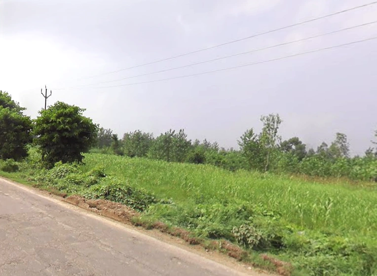 Muzaffarabad, Uttar Pradesh 247129, India