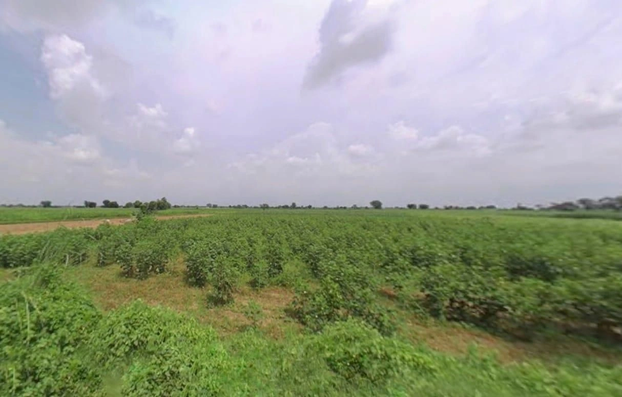 H2H9+VP Udaipur Niham, Rajasthan, India preview 3