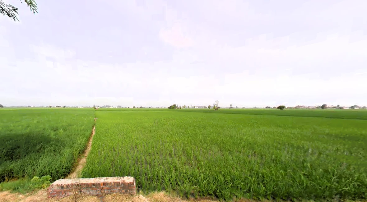 Nissing, Haryana 132024, India