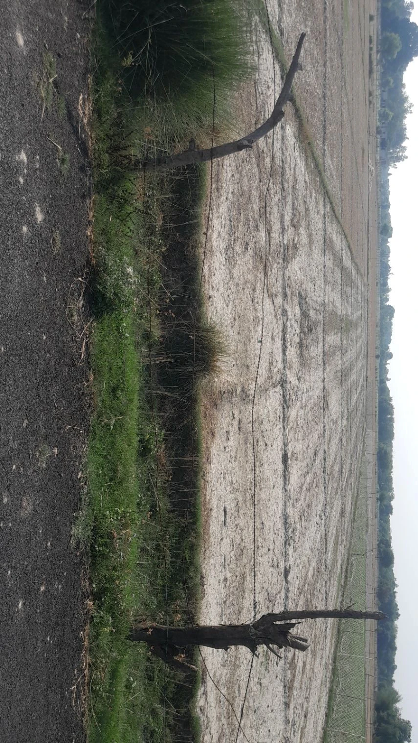 M4VX+RM Mainuddinpur, Uttar Pradesh, India