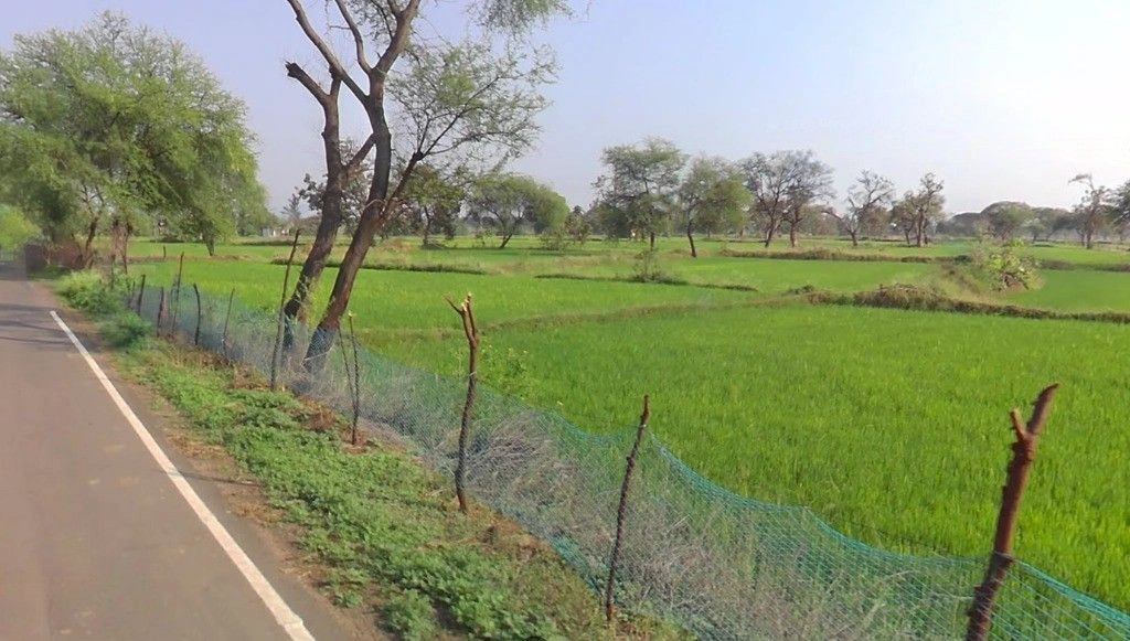 Kusmi, Chhattisgarh 491332, India