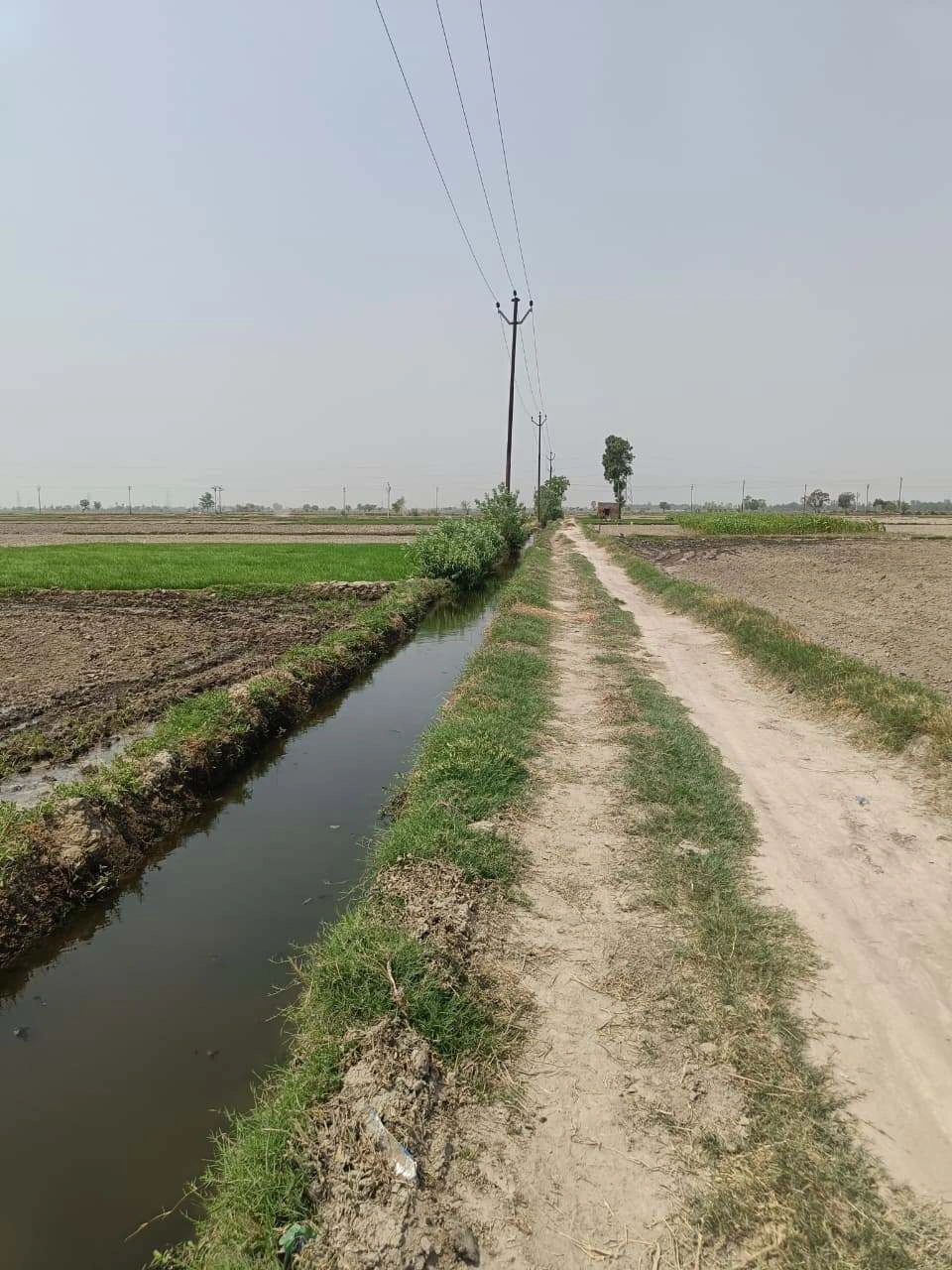 Sahar, Uttar Pradesh, India