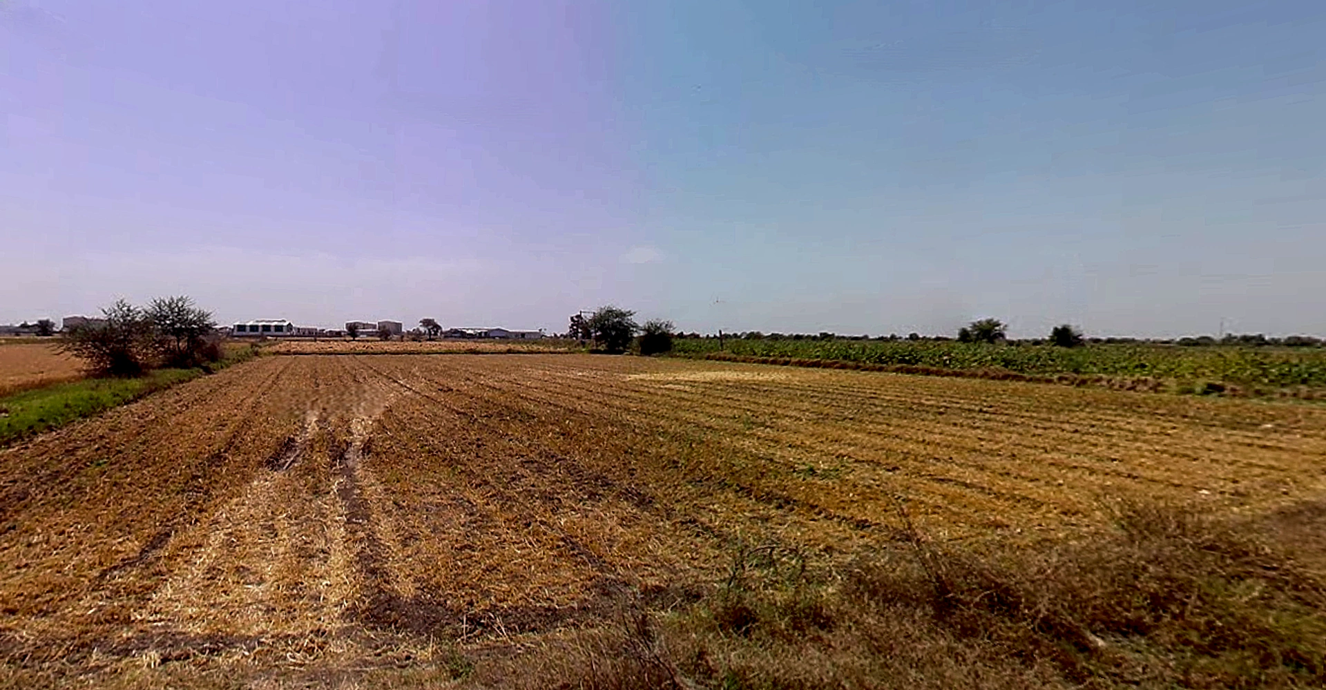 Moviya, Gujarat 360330, India