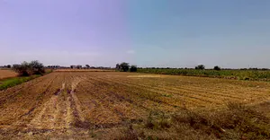 Moviya, Gujarat 360330, India preview 2