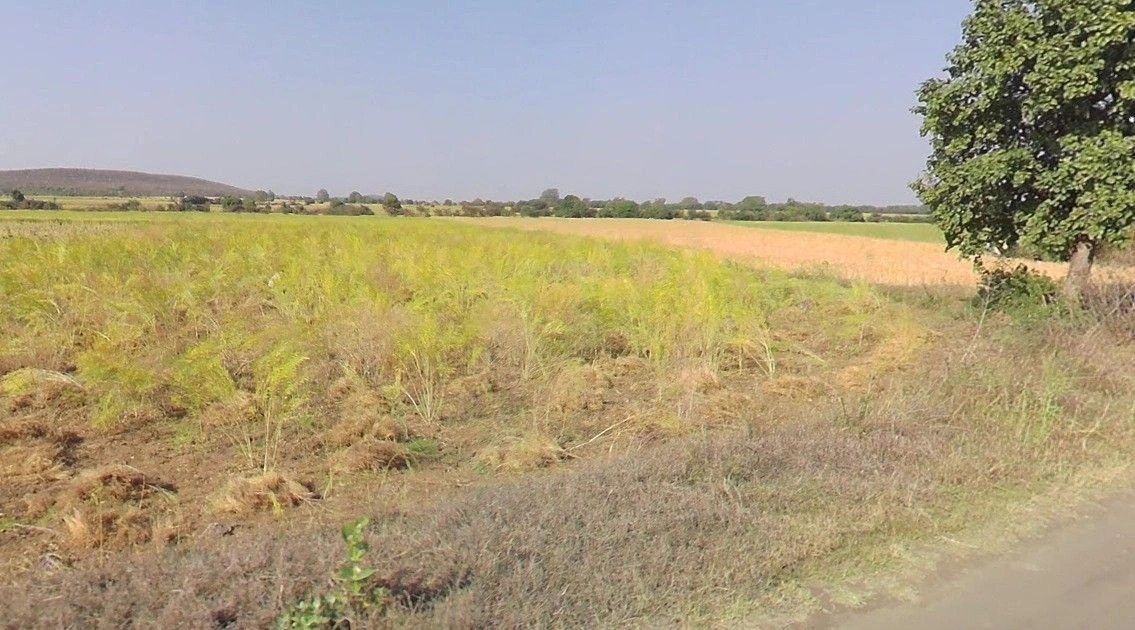 Ghatiya, Madhya Pradesh 456550, India