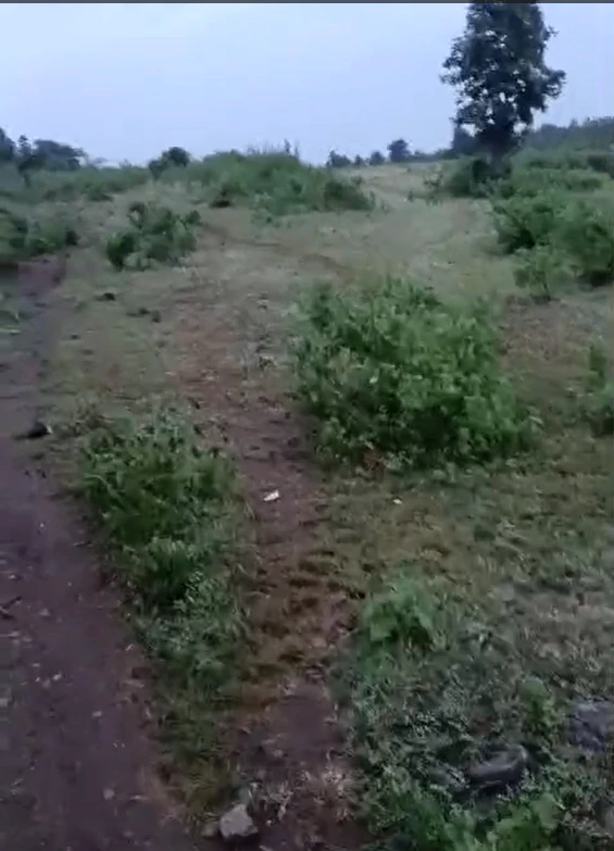 4JGF+82P, Khargone, Kasrawad Rd, Kasrawad, Madhya Pradesh 451228, India