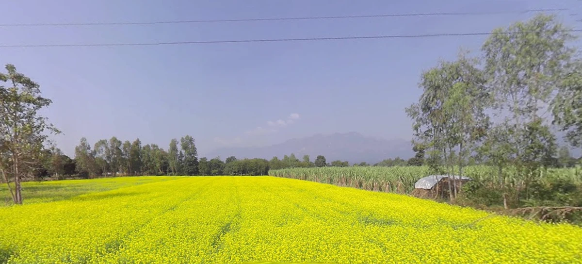 Mukteshwar, Uttarakhand, India