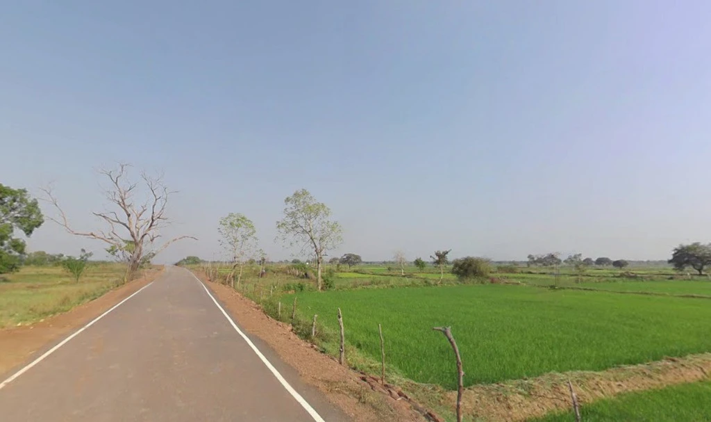 Tendukona, Chhattisgarh 493449, India