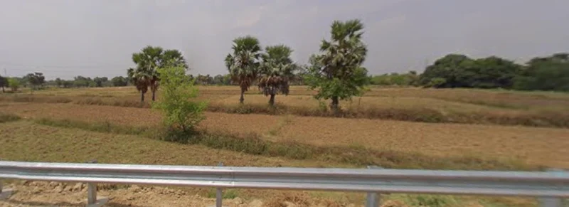 Ullar-Masaurhi Rd, Ichipur, Bihar, India preview 4