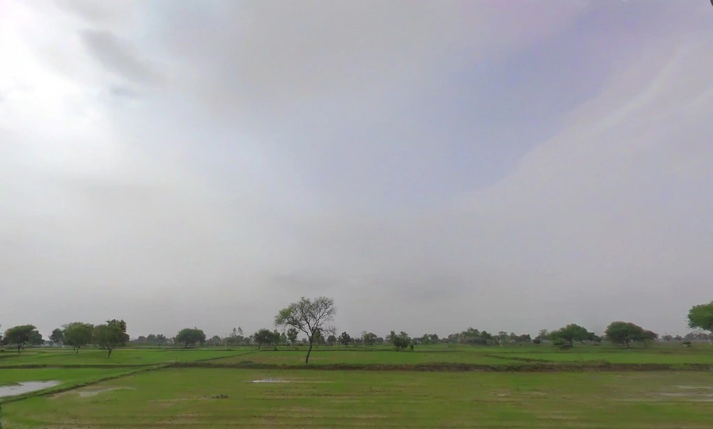 Parsada, Chhattisgarh 493445, India