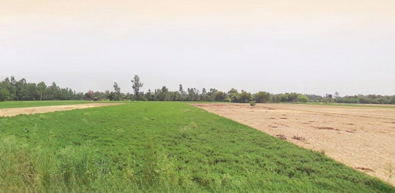 Khatima, Uttarakhand 262308, India