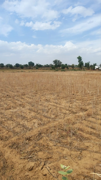 Keshoraipatan, Rajasthan, India