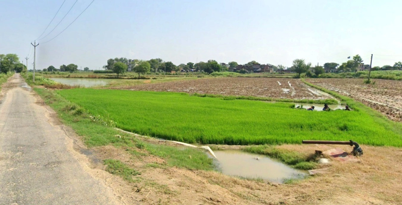 Vijay Nagar, Indore, Madhya Pradesh 452001, India