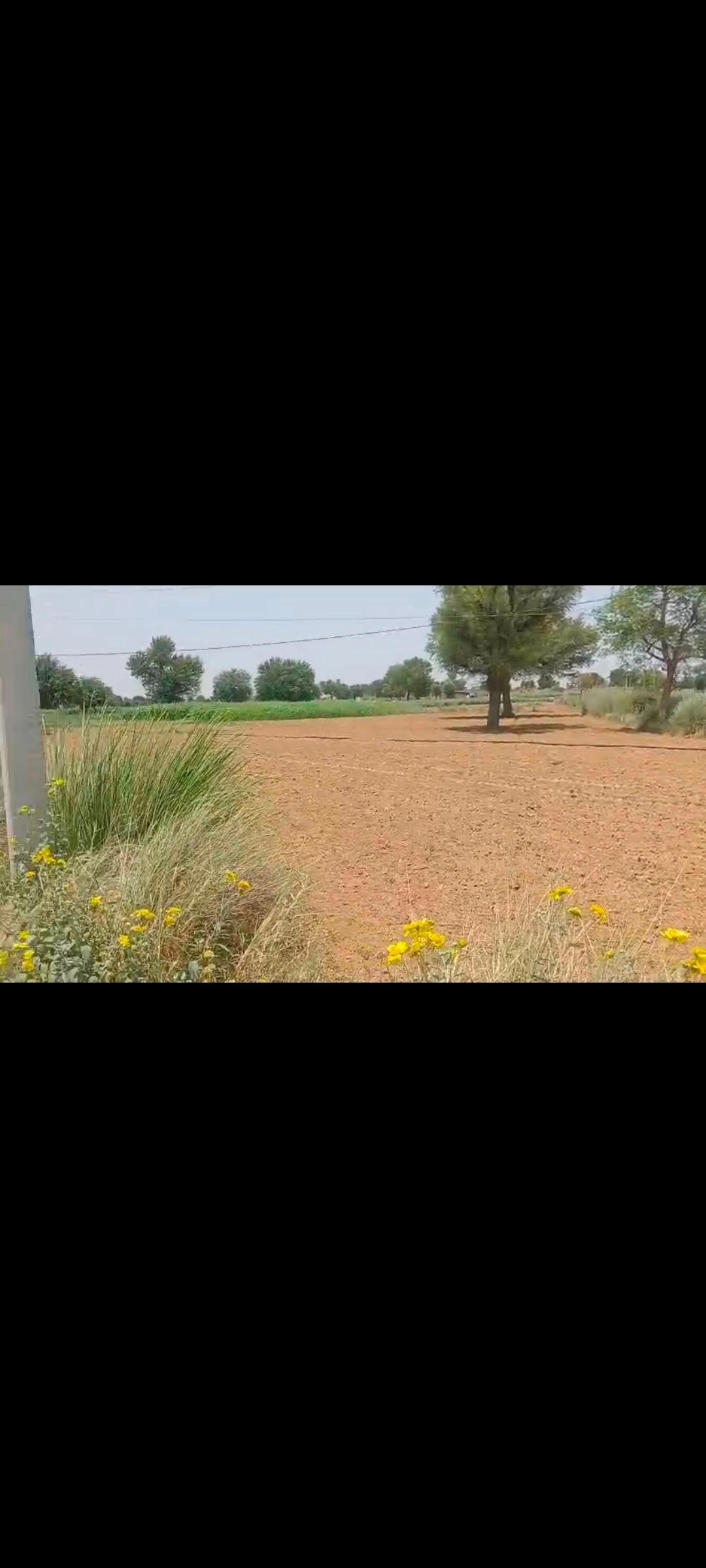Jawanpura, Viratnagar, Kotputli-Behror, Rajasthan, India