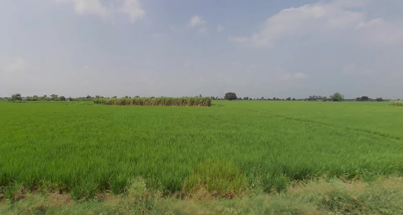 Sirhind Rd, Harinder Nagar, Patiala, Punjab 147004, India