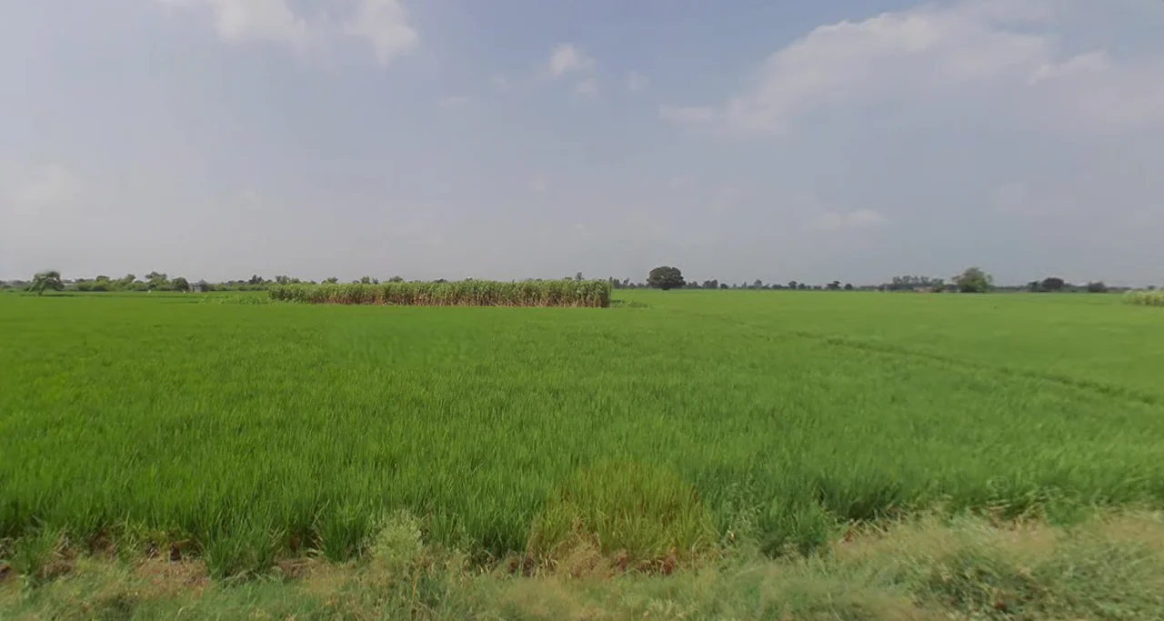 Sirhind Rd, Harinder Nagar, Patiala, Punjab 147004, India preview 3