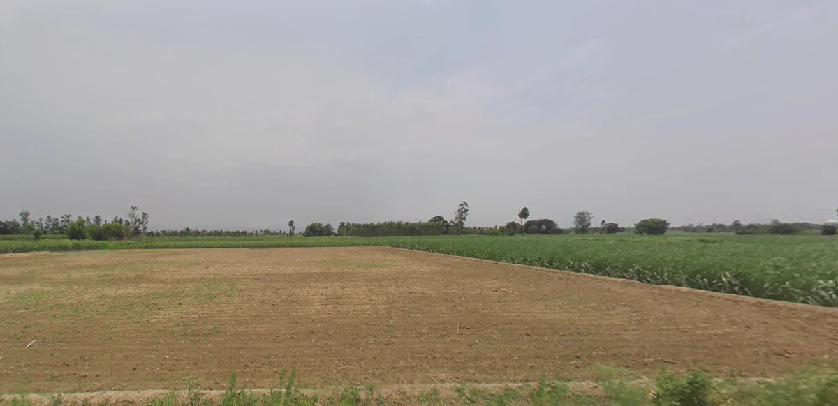 Jemua, West Bengal, India