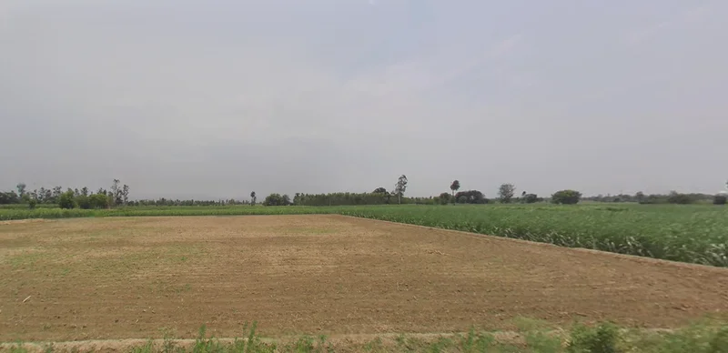 Jemua, West Bengal, India preview 2