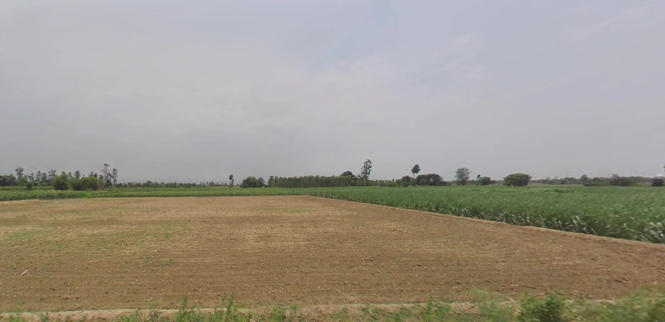 Jemua, West Bengal, India