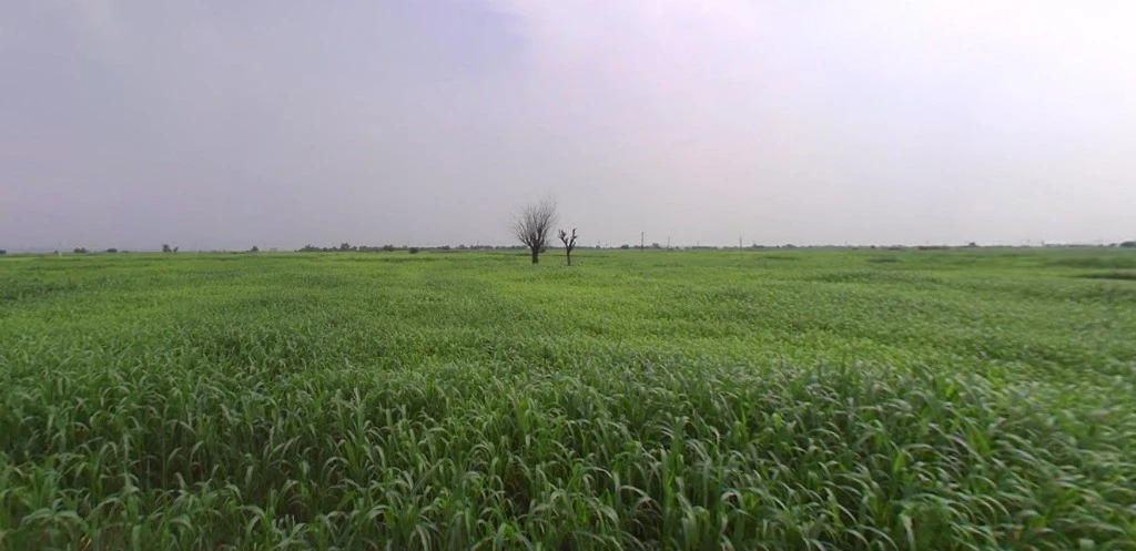 Kasrawad, Madhya Pradesh 451228, India