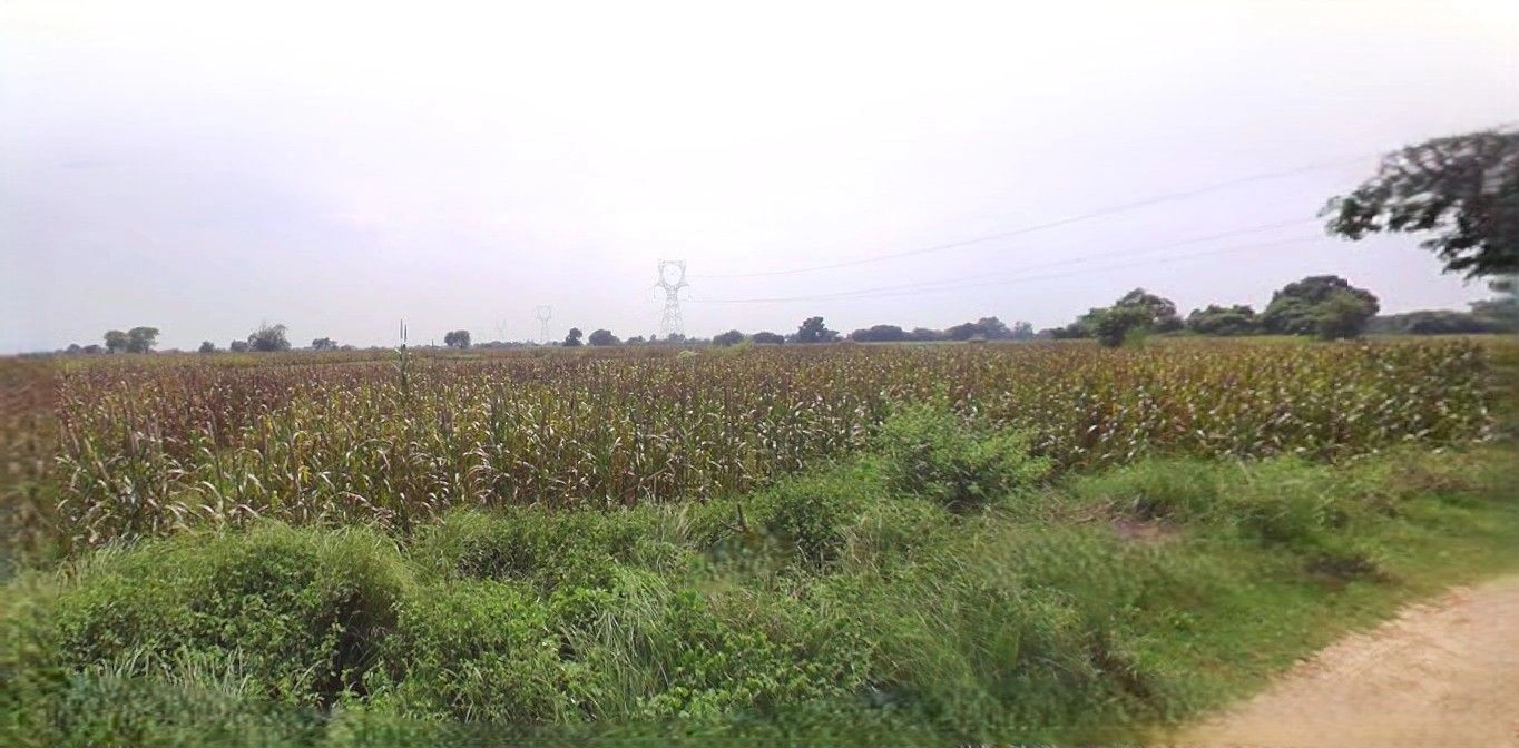 Barnagar, Madhya Pradesh 456771, India