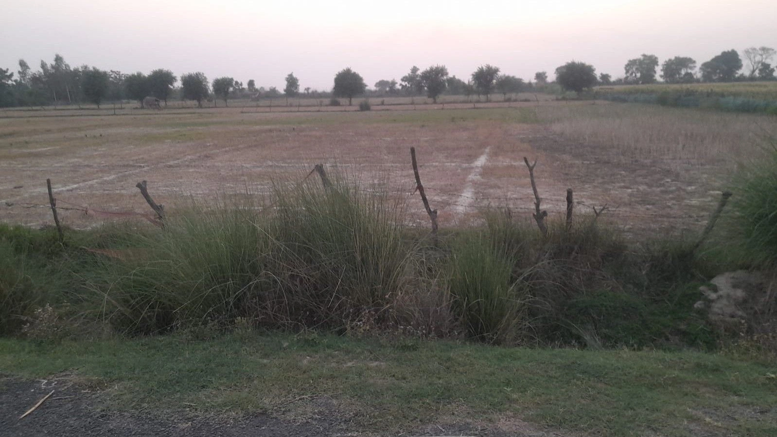 J7X4+V4 Khanpur, Uttar Pradesh, India