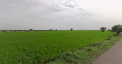 Jamni, Gujarat 387630, India preview 2